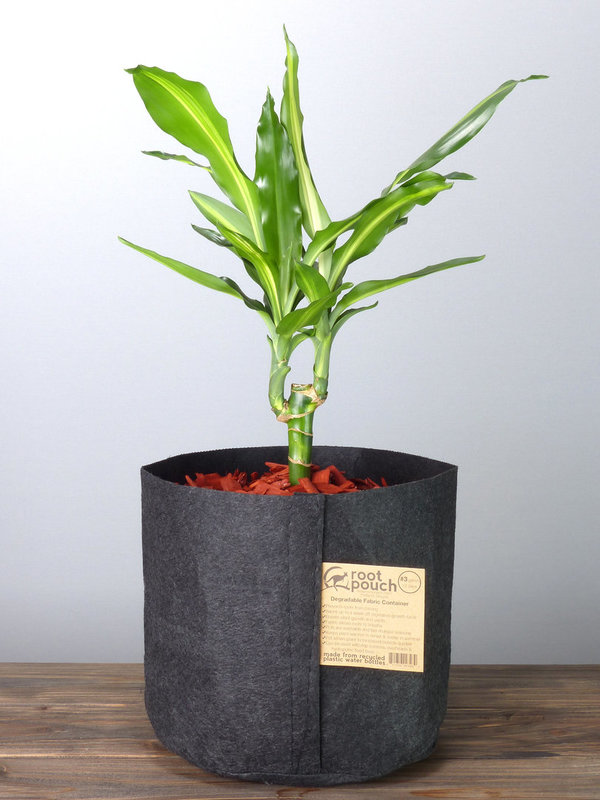 Root Pouch Black #3 Gallon / 12 Liter ohne Griffe